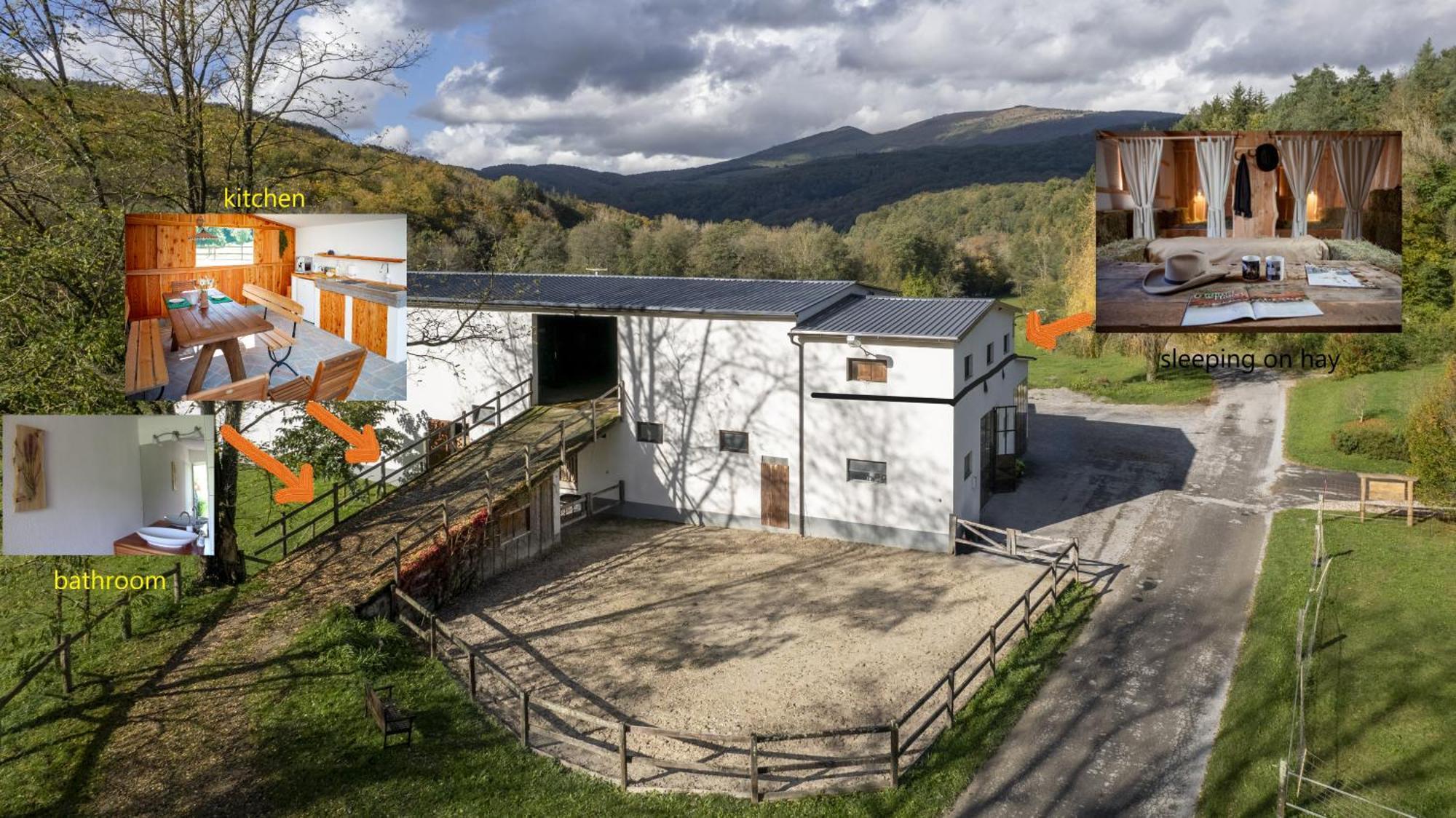 Farm Volk Βίλα Suhorje Εξωτερικό φωτογραφία